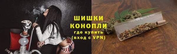 гашик Белоозёрский