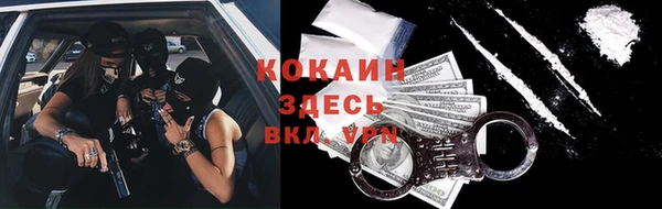 гашик Белоозёрский