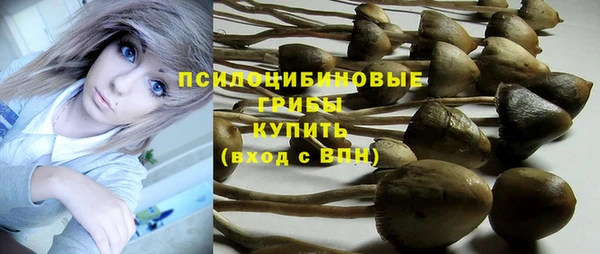 мескалин Белокуриха